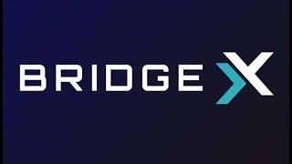 Обзор проекта BridgeX Network и его Решение проблем