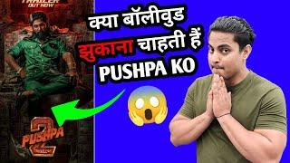 Pushpa 2 Negativity By Bollywood True Or False | Pushpa 2 Is The End Of Bollywood | Pushpa 2 Updates