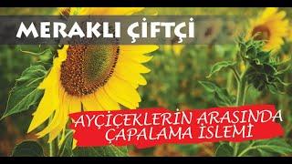 Tarlada Çapalama Sistemi - MERAKLI ÇİFTÇİ #tarım #çiftçi #hayvancılık