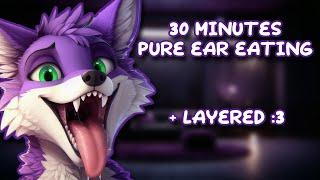 Furry ASMR | 30 Minutes Of PURE Ear Eating & Mouth Sounds (+Layered) | 500 Subscribers Special :3