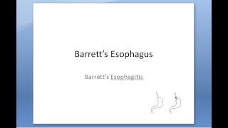 Pathology 539 a Barrett Esophagus Intestinal Metaplasia GERD