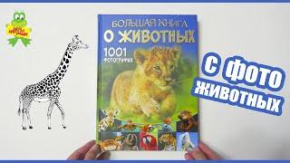 Обзор на "Большая книга о животных. 1001 фотография", издательство АСТ | Энциклопедия с фотографиями