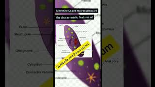 Micronucleus and Macronucleus are the characteristic features of | #Short #LastDayEducation