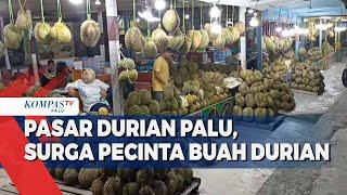 Pasar Durian Palu, Surga Pecinta Buah Durian