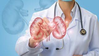 Why We Have Two Kidneys But Only Require One To Live