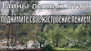 Тайны лесных птиц: поднимите свое настроение пением