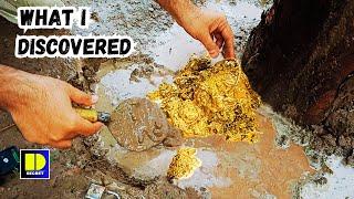 What We Discovered accidently | Treasure hunt | metal detecting videos | archeological discoveries