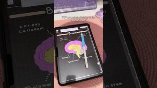 iPad note taking Dark mode  aesthetic digital notes | take notes with me | iPad accessories | study