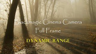 Blackmagic Cinema Camera 6K Full Frame | Dynamic Range Capabilities