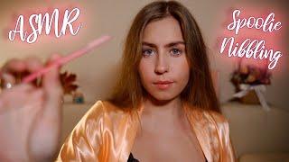 [ASMR] Spoolie Nibbling & Brow Attention