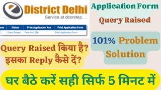 E Distrcit Delhi Application Form Query Raised | Query Raise क्या है? ऐसे कैसे ठीक करें Online 2023