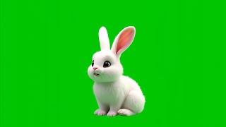 Rabbit green screen no copyright | Rabbit green screen animation