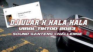 DJ GANTENG CHALLENGE VIRAL! - ULAR X HALA HALA VIRAL TIKTOD 2023!