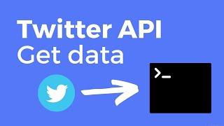 How to connect to Twitter API 2021 | #2 GET DATA