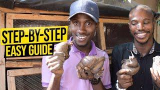 How To Start A Successful Snail Farm With Less Capital In 2024 | Beginners Guide