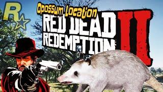 Opossum location Easy, RDR2. Master Hunter Mission. "Opossum  Playing Dead.