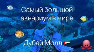 Dubai Aquarium & Underwater zoo | самый большой аквариум в мире Дубай Молл