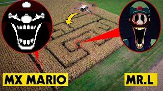 DRONE CATCHES MX MARIO 85 & MR.L TOO LATE.EXE IN A MAZE IN REAL LIFE!!