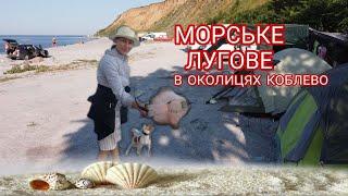 Відпочинок в наметі на Чорному морі в околицях Коблево (Морське, Лугове) 2021. Ловля ската.