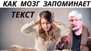 Как мозг сохраняет информацию. Профессор Савельев