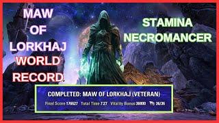 Maw of Lorkhaj World Record | Stamina Necromancer | 176.627 in 7:27