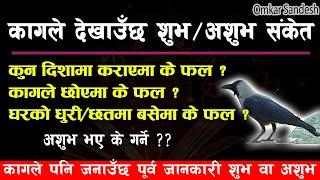 काग कराएमा के फल ? शुभ/अशुभ संकेत गर्दछ कागले । kag karauda ko fal k hunxa | Vastu Tips | Astro tips