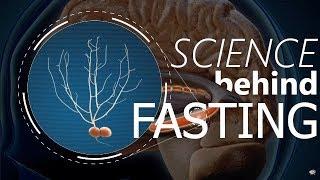 Does FASTING Boost Memory and Intelligence?