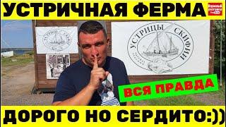 У вас будет ШОК!!! Устричная ферма под Коблево 2021/ Полный обзор 23.07.21