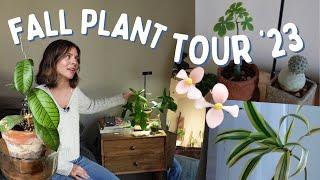 How I display my indoor plant collection | Fall Houseplant Tour 2023