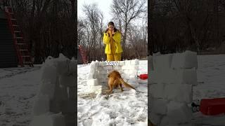 Surprising My Puppy With An Igloo! ️