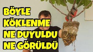 Böyle Bir Yöntem Ne Duyuldu, Ne Görüldü