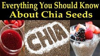 Everything You Should Know About Chia Seeds - Dr. Alan Mandell D.C.