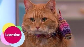 Stray Cat Saves Homeless Drug Addict | Lorraine