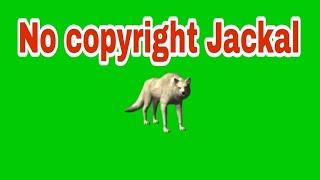 # Jackal green screen video # no copyeight #