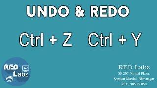 Undo Redo = Ctrl + Z Ctrl + Y