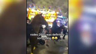 Houston police warn after video of man hitting a horse goes viral