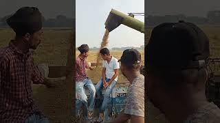 rice crop harvesting machine.#crazy #funny #trending #viral #agriculture #farming #harvest#ytshorts