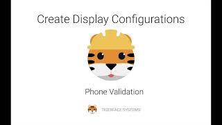 Phone Validation - Create Display Configurations