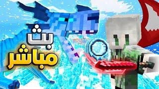 بث maincraft ماينكرافت حياكم ريلي كرافت