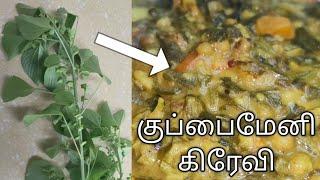 Indian Acalypha leaf Gravy | Daun Kucing Galak masak parupu