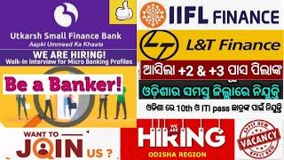 20000 Salary Jobs For Freshers Candidates | Bank Job Vacancy In Odisha 2024 For All Districts