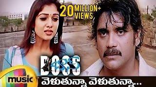 Boss I Love You Songs | Velutunna Velutunna Full Telugu Song | Nagarjuna | Nayanthara | Sunitha