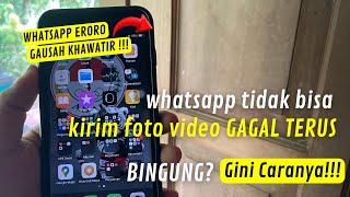 Cara Mengatasi WhatsApp Tidak Bisa Kirim Foto dan Video 2024