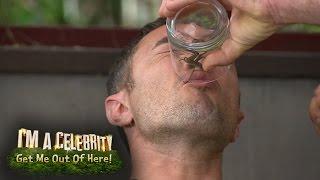 A Spider Latches Onto Vincent's Face | I'm A Celebrity... Get Me Out Of Here!