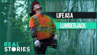 The Hidden Dangers Of Being A Lumberjack: Extreme Logging