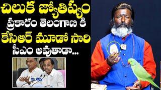 Parrot Prediction About Telangana Next CM | Revanth Reddy | CM KCR | Telangana Election | NewsQube