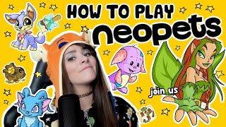 a complete (& unhinged) guide to NEOPETS