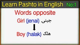 40 Words opposite of Pashto in English language | learn pashto in english | learn Pashto language