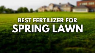 Best Lawn Fertilizer For Spring - The Blooming Season is Here