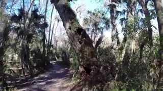 Hillsborough River State Park